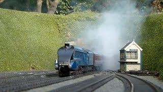 Busy Day at Sutterby  an O Gauge Garden Railway [upl. by Gretna990]