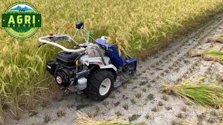 Driverless REAPER BINDER MACHINE Harvesting Paddy  Rice  Automatic Mini Reaper Binder Machine [upl. by Nnarual925]