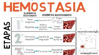 Hemostasia Coagulação do Sangue [upl. by Anaira172]