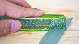 How to Make Aloe Vera Gel in 90 Seconds [upl. by Nahraf131]