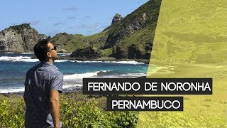 O que fazer em FERNANDO DE NORONHA [upl. by Redford509]