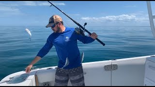 How to Catch Live Bait with a Sabiki Rig on the West Coast of Florida [upl. by Yrrem]