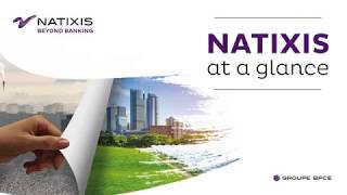 2020  Natixis at a glance [upl. by Anig862]