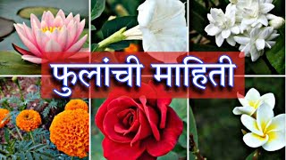 फुलांची माहिती  Flowers information in marathi  fulanchi mahiti [upl. by Akenal]