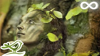 Dance of Life Relaxing Celtic Music for Meditation amp Sleep by Peder B Helland [upl. by Hisbe194]