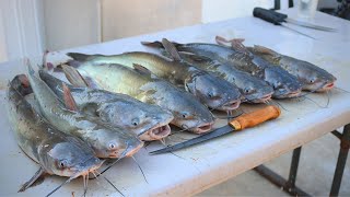 CATFISH on a Trotline  Fried Catfish Feast [upl. by Fauver897]