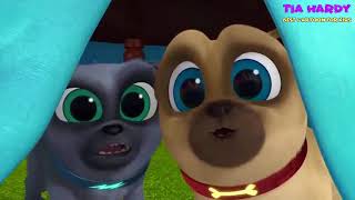 Puppy Dog Pals Hissys Big Day Episode 24  Tia Hardy [upl. by Harvison]