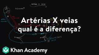 Artérias X veias – qual é a diferença [upl. by Athallia]