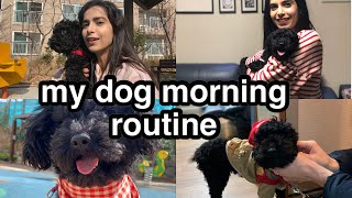 🇰🇷MONGMONG’S MORNING ROUTINE vlog 🐶 🐩 [upl. by Baggett]