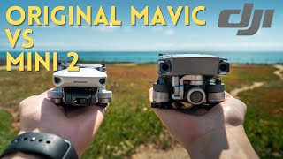 Original DJI Mavic Pro VS DJI Mini 2  Which One Should You Get [upl. by Darcee]