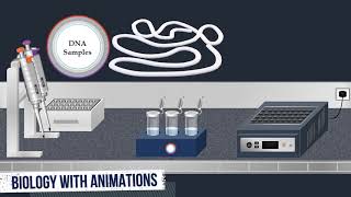 Southern Blot Method  Animated Video [upl. by Ruperta]