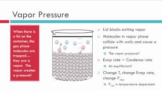 Evaporation Vapor Pressure and Boiling [upl. by Atsillac]