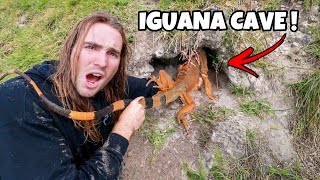 RESCUING FROZEN IGUANAS FROM UNDERGROUND CAVES [upl. by Tripp]