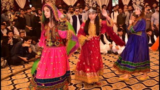 Best Girls Attan at Pashtun Cultural Day Wa Grane Lailo [upl. by Eenehs]