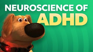 Neuroscience of ADHD [upl. by Carol]