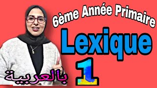 Lexique 1 Comment utiliser le dictionnaire شرح بالعربية [upl. by Ennayrb]