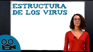 Estructura de los virus [upl. by Jameson989]