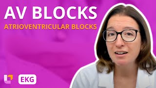 Atrioventricular Blocks AV Blocks  EKG Interpretation  LevelUpRN [upl. by Deste5]