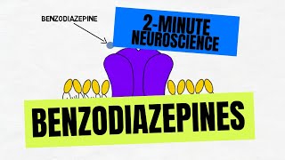 2Minute Neuroscience Benzodiazepines [upl. by Eikcim658]