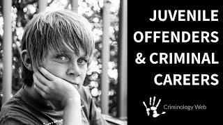 Juvenile Delinquency Two Types of Criminal Careers [upl. by Juetta]