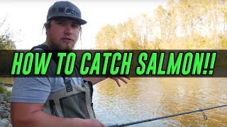 HOW TO Catch A Salmon  COMPLETE Guide To SUCCESS Salmon Fishing [upl. by Lorinda]