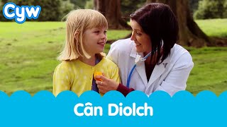 Cân Diolch Cyw  Cyws ThankYou Song [upl. by Jobyna]