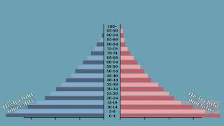 Population pyramid [upl. by Garner306]