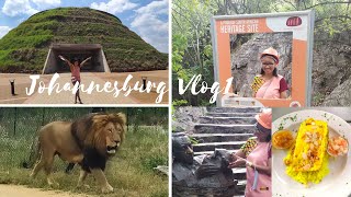 Things To Do In Johannesburg South Africa  Lion Park amp Safari Tour  South African YouTuber [upl. by Dulcie195]