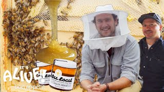 Brad Makes Honey  Its Alive  Bon Appétit [upl. by Kensell]