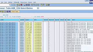 SE16 tcode in SAP [upl. by Ardeth]