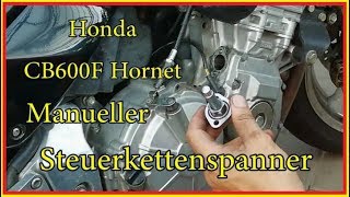 Honda CB600F Hornet Steuerkettenspanner [upl. by Old40]