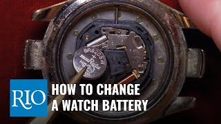 How to Change a Watch Battery [upl. by Harad735]