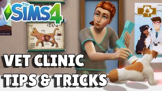 8 Vet Clinic Tips And Tricks For Success  The Sims 4 Cats amp Dogs Guide [upl. by Onitnatsnoc]