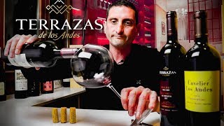 Terrazas de los Andes Malbec  Argentina Wine Review [upl. by Elaynad]