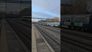 LM Class 730 arriving at Tamworth Station 2 December 2024 [upl. by Krever]