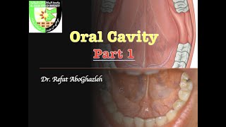 Oral Cavity  Part 1 [upl. by Adnael]