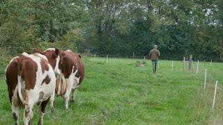 1 JOUR A LA FERME avec un éleveur laitier [upl. by Kenneth]