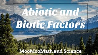 Difference between Abiotic and Biotic Factors [upl. by Mehitable576]