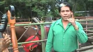 Cabalgando por el Llano  Yo soy de Apure Domingo García [upl. by Cordie]