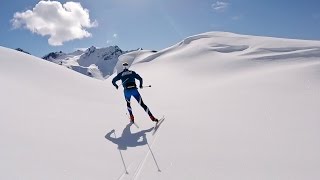 Backcountry XC Skiing  Alaska [upl. by Cirre612]