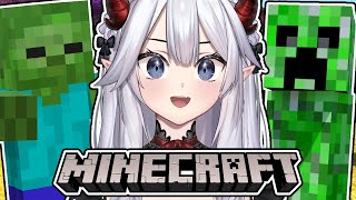 Veibaes Minecraft Experience [upl. by Ping821]