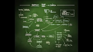 SEPSIS fisiopatología y clínica [upl. by Tyoh]