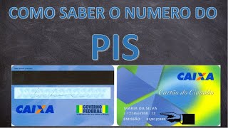 Como saber o numero do PIS [upl. by Godber403]