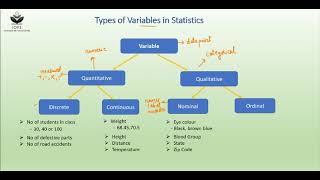 Types of Variables in Statistics [upl. by Ennirak]