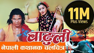 New Nepali Movie  quot Nishaniquot Full Movie  Prashant Tamang  Latest Nepali Movie 2017 [upl. by Marienthal232]