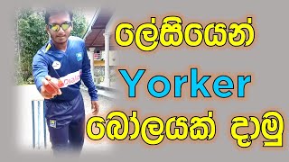 How to Bowl Yorker Ball  Fielding JayA [upl. by Idas]