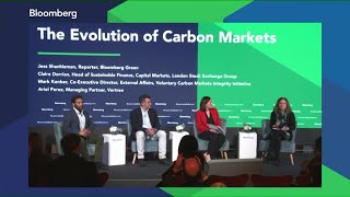 The Evolution of Carbon Markets [upl. by Phyl]