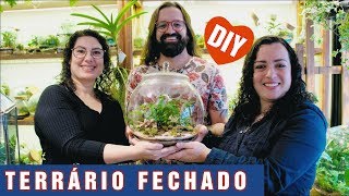 Como Fazer Um TERRÁRIO Versão Completa DIY  Terra Jardim [upl. by Grous]