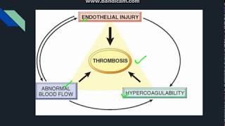 Thrombosis [upl. by Iives]