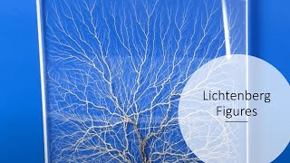 EBEAM Crash Course Lichtenberg Figures Beginner Level [upl. by Ihskaneem]